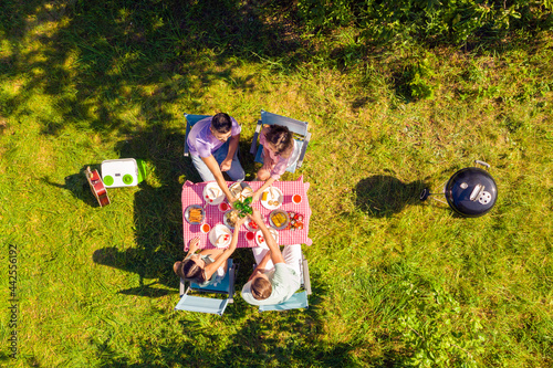 Fotobehang High above angle view friends spending free time in garden cooking barbeque drin