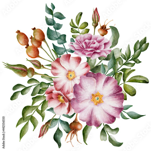 Beautiful watercolor floral bouquets of pink and lilac rose hips and green leaves on the white background. Elegant hand painting for wedding invitations  postcards  greeting cards  posters  packaging