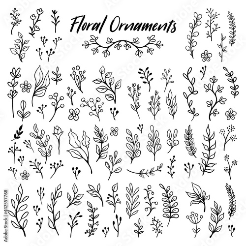 Floral ornaments doodle set. Hand drawn tree branches with leaves and flowers
