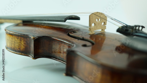 Violino close-up