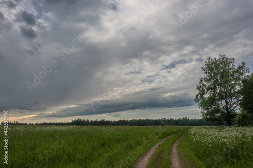 Russian field with a road and clouds in the sky
