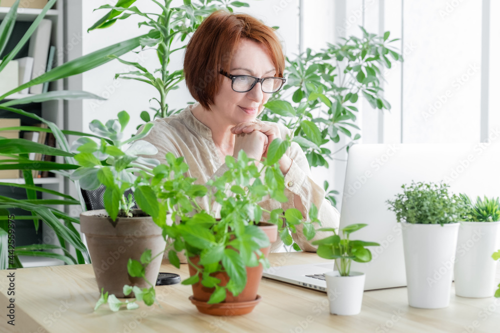 laptop woman teacher workplace face online news happy meeting laptop woman teacher workplace face online news happy meeting
