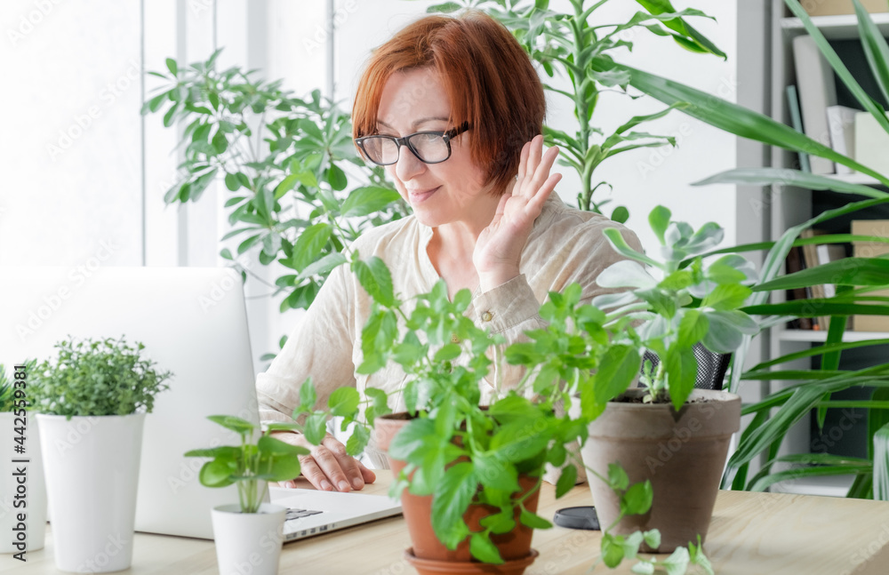 laptop woman teacher workplace face online news happy meeting laptop woman teacher workplace face online news happy meeting