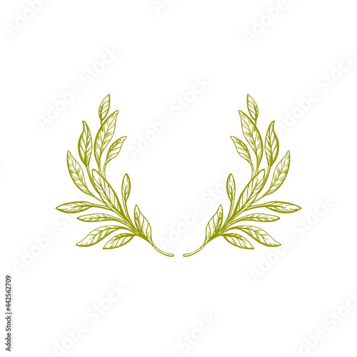 Olive wreath. Vintage branch. Vector art border