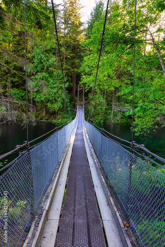View of Suspension Bridge over the water in Green and Vibrant Rain Forest during a sunny summer day. Buntzen Lake  Anmore  Vancouver  British Columbia  Canada. Nature Background