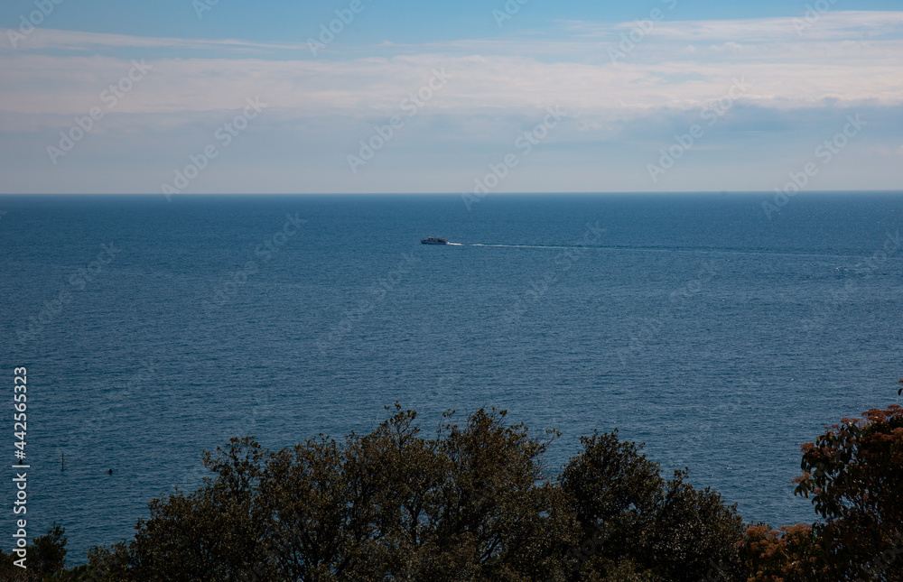 View of trees against the background of the Black Sea from Vorontsov Castle Crimea