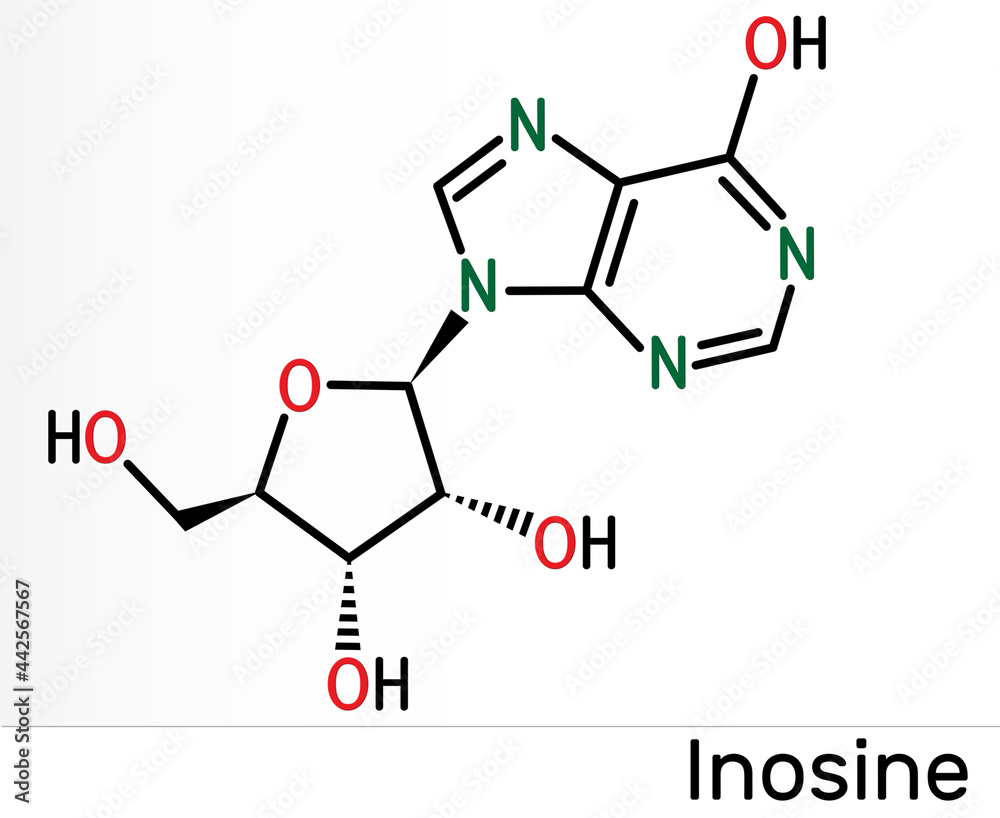 Inosine molecule. It is purine nucleoside, commonly occurs in tRNA. Consists of hypoxanthine connected to ribofuranose glycosidic bond. Skeletal chemical formula Inosine molecule. It is purine nucleoside, commonly occurs in tRNA. Consists of hypoxanthine connected to ribofuranose glycosidic bond. Skeletal chemical formula