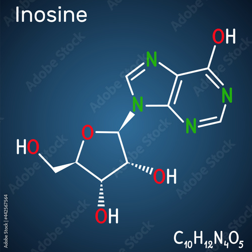 Inosine molecule. It is purine nucleoside, commonly occurs in tRNA. Consists of hypoxanthine connected to ribofuranose glycosidic bond. Structural chemical formula on the dark blue background