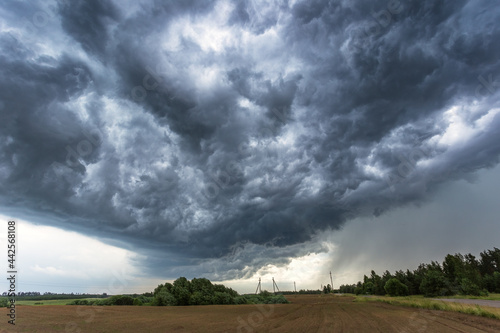 The storm is approaching. A gray sky above trees. Amazing views of clouds. Clouds background