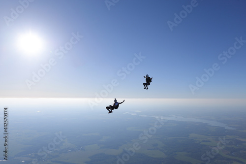 Fototapeta Naklejka Na Ścianę i Meble -  Skydiving. Freefly. Skydivers are having fun in the sky.