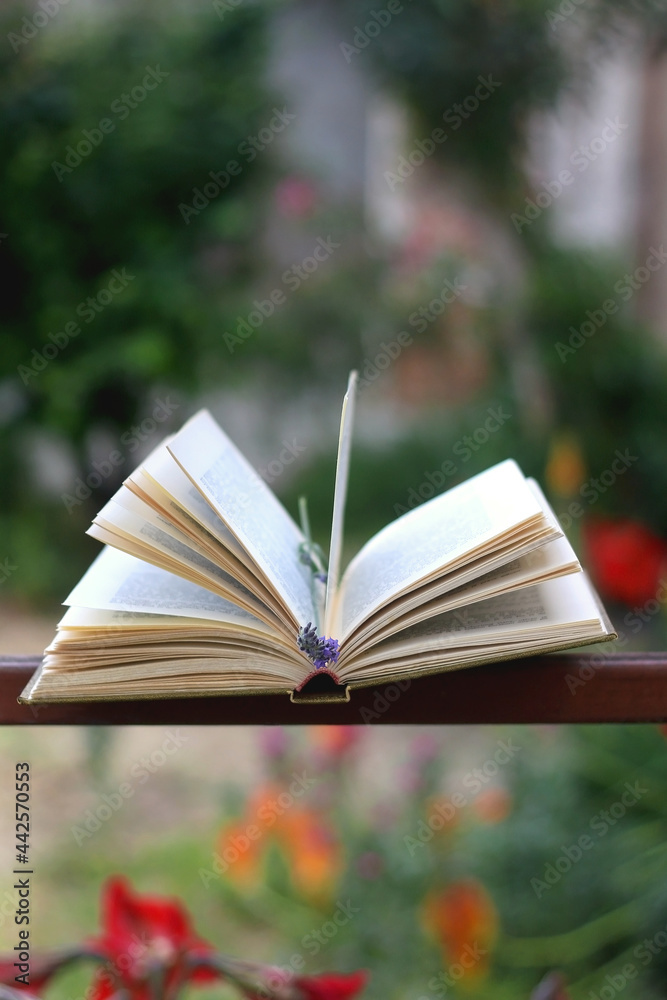 Open book and lavender flower in a garden. Selective focus. Open book and lavender flower in a garden. Selective focus.