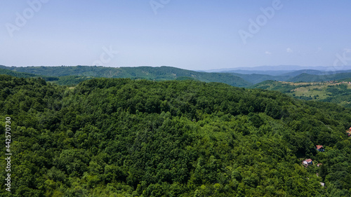 Aerial view of summer trees. Colorful trees from above. Aerial view overhand the green forest and river