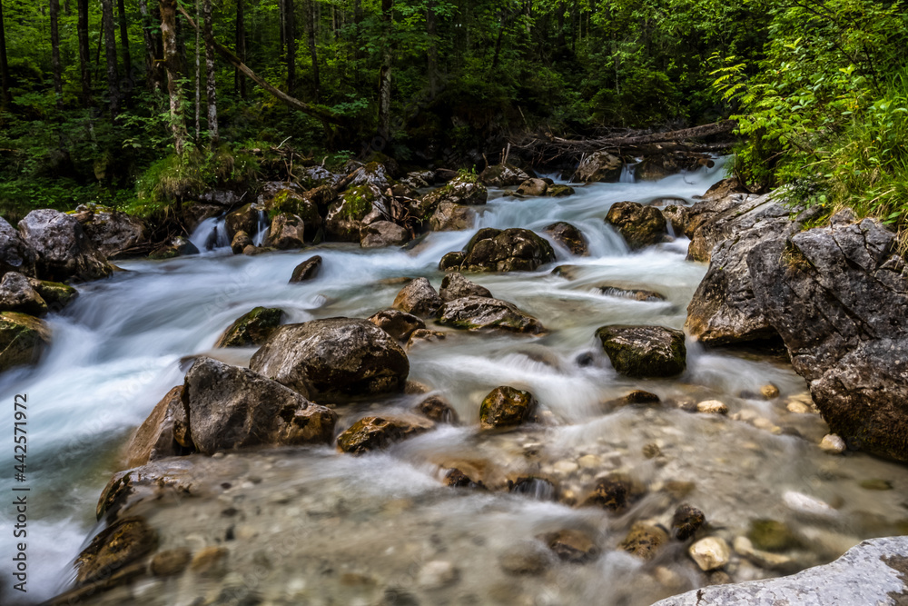 Magic Forest Zauberwald at Lake Hintersee with Creek Ramsauer Ache. National Park Berchtesgadener Land, Germany Magic Forest Zauberwald at Lake Hintersee with Creek Ramsauer Ache. National Park Berchtesgadener Land, Germany