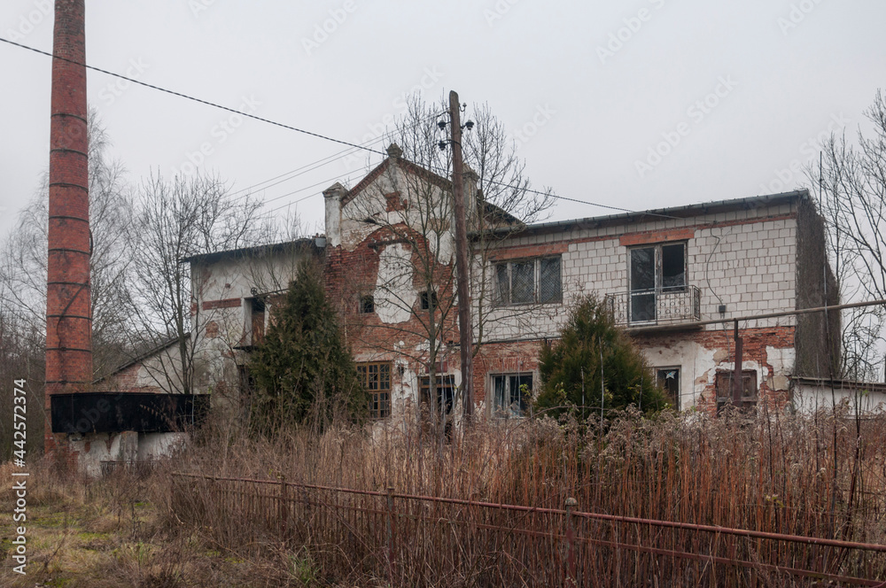 The abandoned distillery next to the palace