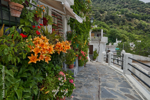 Streets of Pampaneira. Town located in the Alpujarra region, in the province of Granada. photo