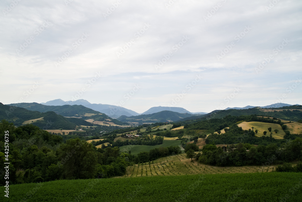 Panorama lungo il sentiero 441 alla gola del Furlo nelle Marche