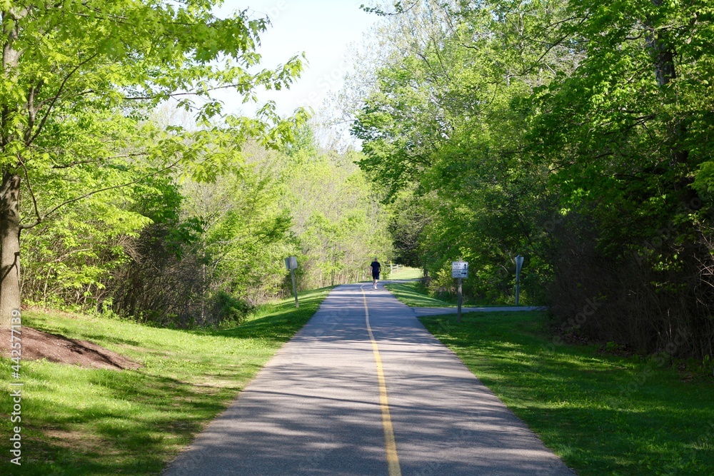 The empty walkway in the park on a sunny day.
