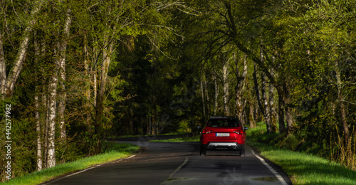 Red fast car in spring sunrise forest on wet black road after rain