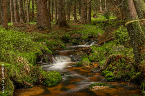 Fototapeta Naklejka Na Ścianę i Meble -  Skrivan color creek in Krusne mountains in spring morning after rain