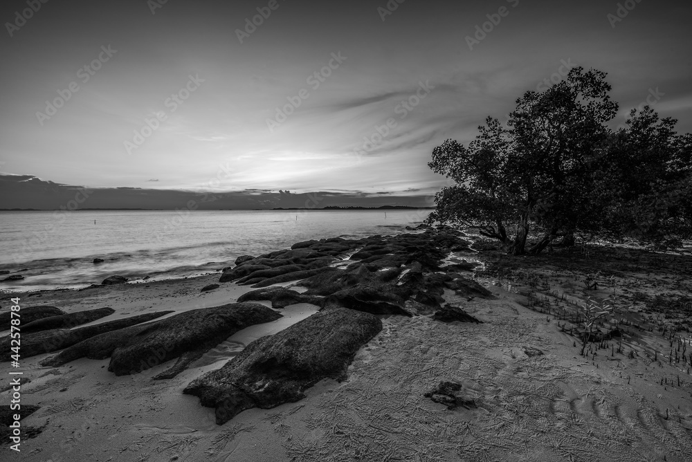 Blackwhite Photos landscape Wonderful  Batam Bintan Indonesia