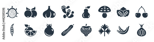 fruits filled icons. glyph vector icons such as onion, parsley, cucumber, pea, lettuce, garlic, pear, berry sign isolated on white background.