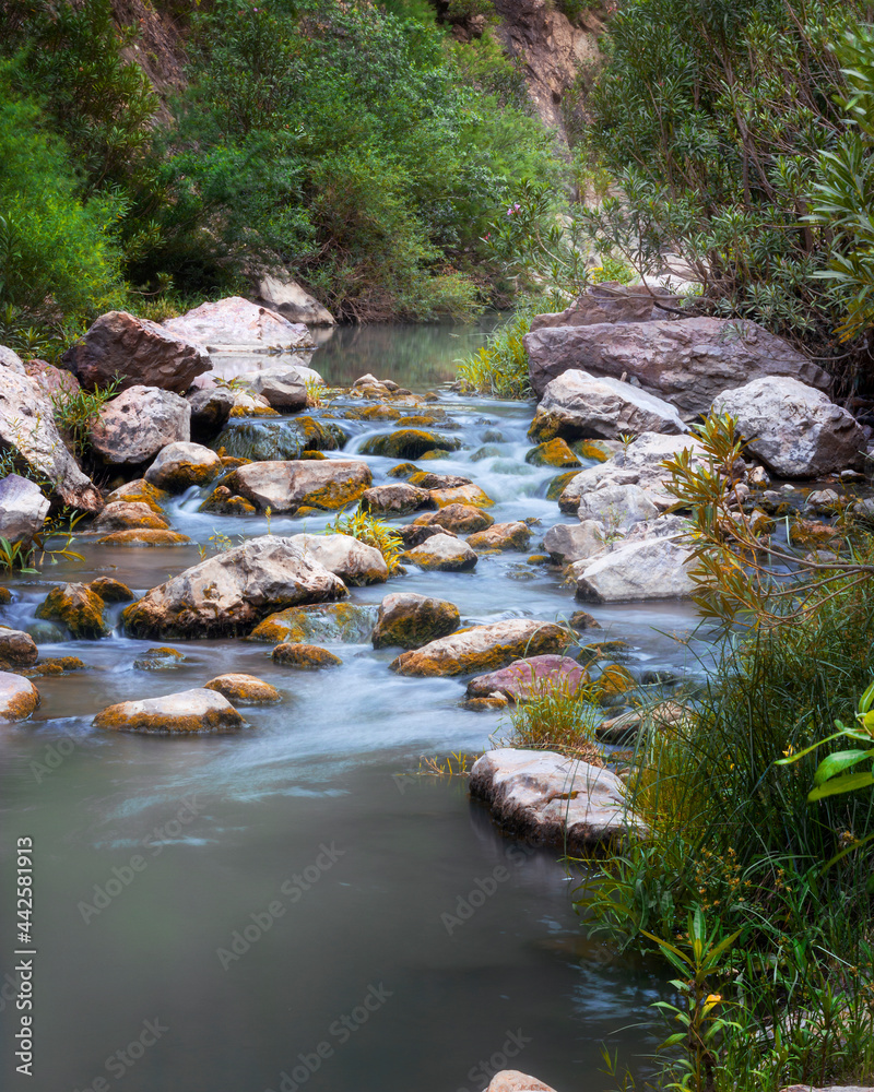 landscape photo for a long exposure mountain river in the forest in Bougaa sétif algeria