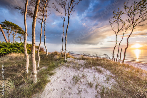 Fototapeta Naklejka Na Ścianę i Meble -  küste