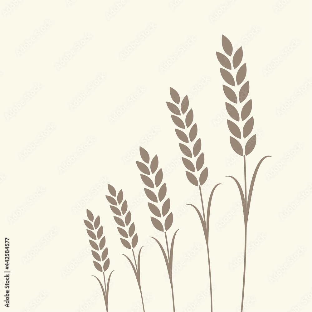 Wheat pattern wallpaper. oat symbol. free space for text. rice sign. Rice pattern wallpaper.