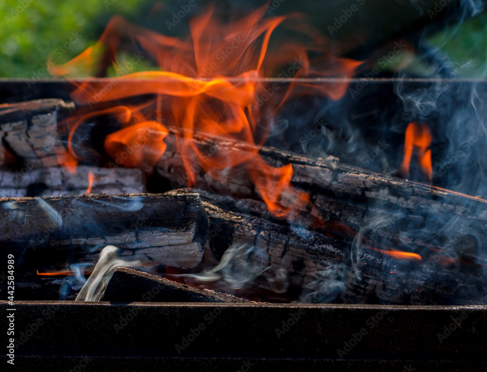 Open fire, smoke, flame of burning firewood in the grill. Hot coals for kebab in nature Open fire, smoke, flame of burning firewood in the grill. Hot coals for kebab in nature