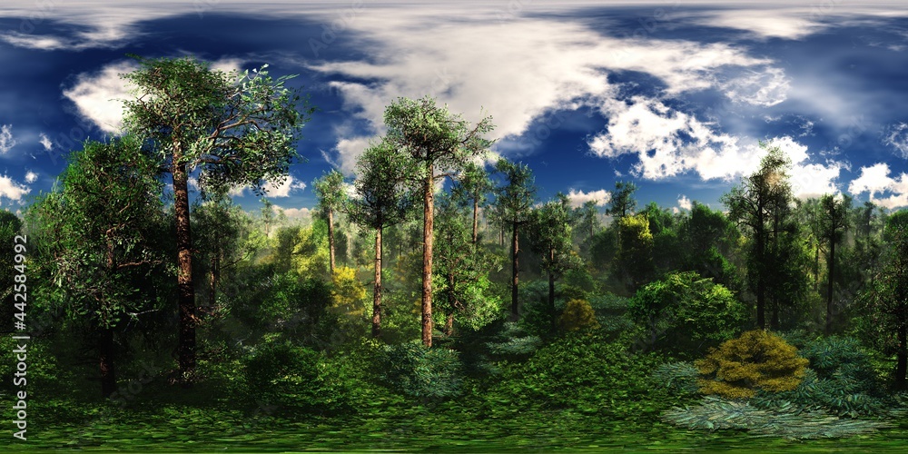 Forest under the sky with clouds,, environment map , Round panorama, spherical panorama, equidistant projection, panorama 360, 3d rendering