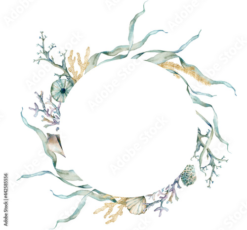 Watercolor underwater frame of shells, gold laminaria and linear corals. Tropical animals and plant isolated on white background. Aquatic illustration for design, print or background.