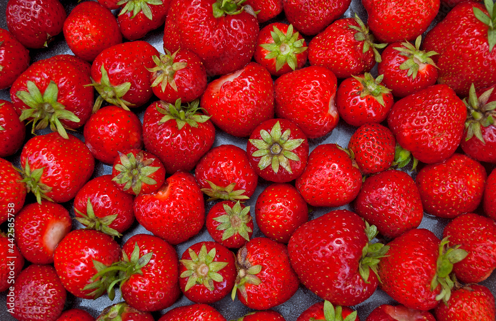Strawberry background full frame. Ripe homemade strawberries. Strawberry background full frame. Ripe homemade strawberries.