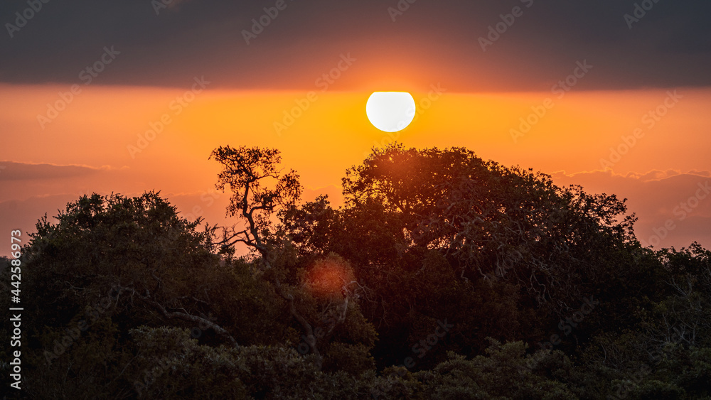 Obraz premium SUNSET