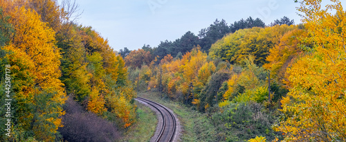 The railway runs through the autumn forest with colorful trees