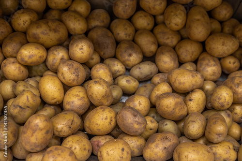 Close up view of potato  on shelf of supermarket. Sweden.