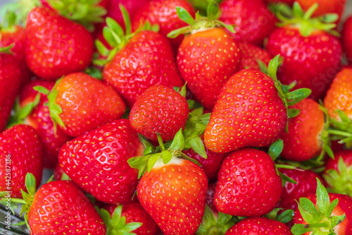 Close up macro view of red ripe strawberries isolated. 