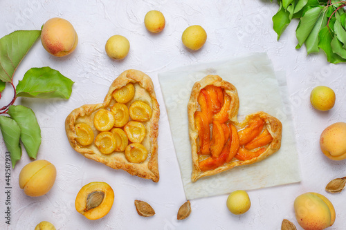 Delicious homemade galette with ripe apricots.