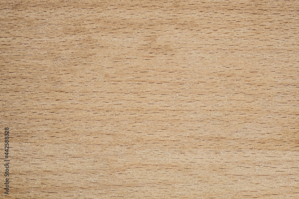 Top view of a wood or plywood for backdrop Top view of a wood or plywood for backdrop