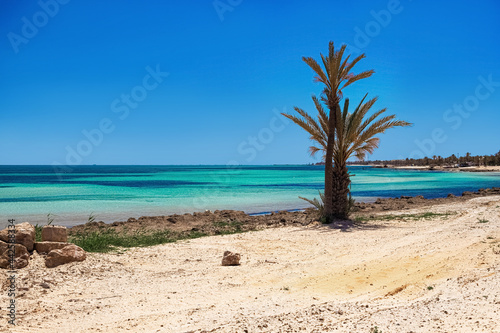 Fototapeta Naklejka Na Ścianę i Meble -  A beautiful view of the Mediterranean coast with birch water, a beach with white sand and a green palm tree.