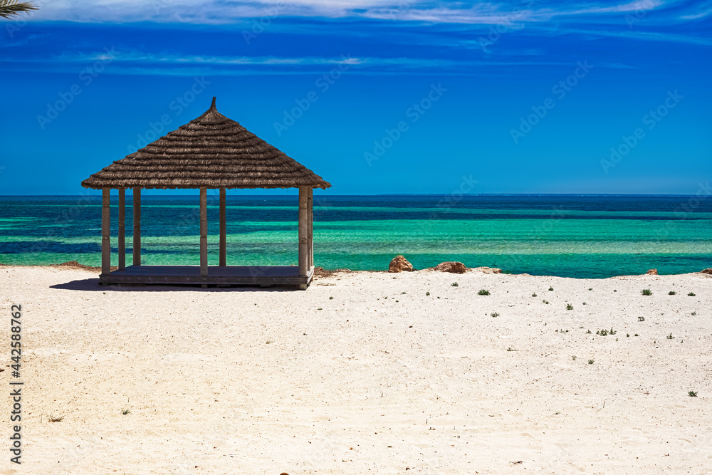 A beautiful view of the Mediterranean coast with birch water, a beach with white sand and a green palm tree. A beautiful view of the Mediterranean coast with birch water, a beach with white sand and a green palm tree.