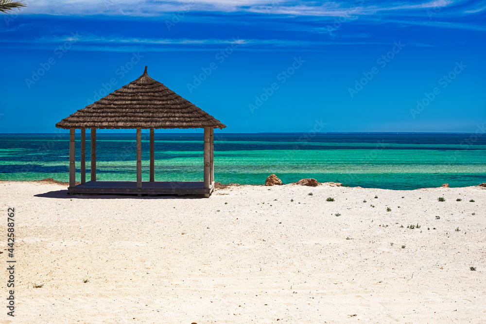 A beautiful view of the Mediterranean coast with birch water, a beach with white sand and a green palm tree.