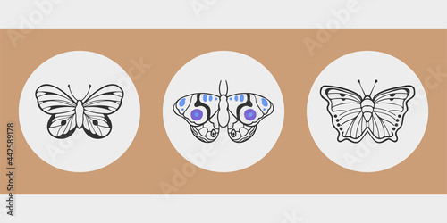 A set of three aesthetic circular posters. Different butterflies drawn with charcoal. Patterns on the wings. Cute insects for stories, social media profile avatars. Thin black outlines, bright spots.