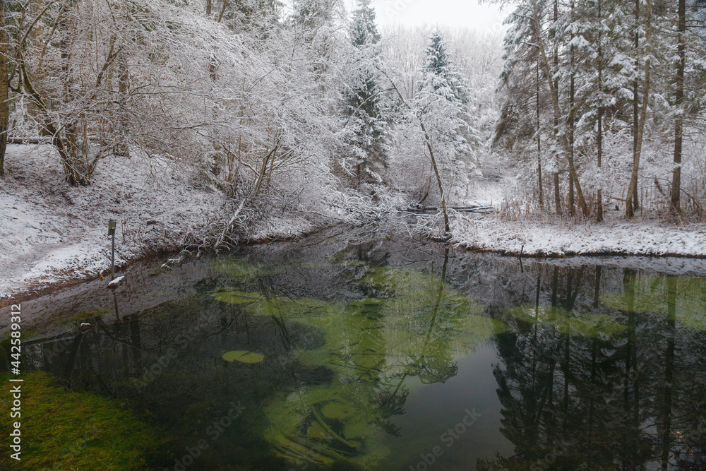 Saula blue springs (siniallikad in Estonian) at snow winter Saula blue springs (siniallikad in Estonian) at snow winter