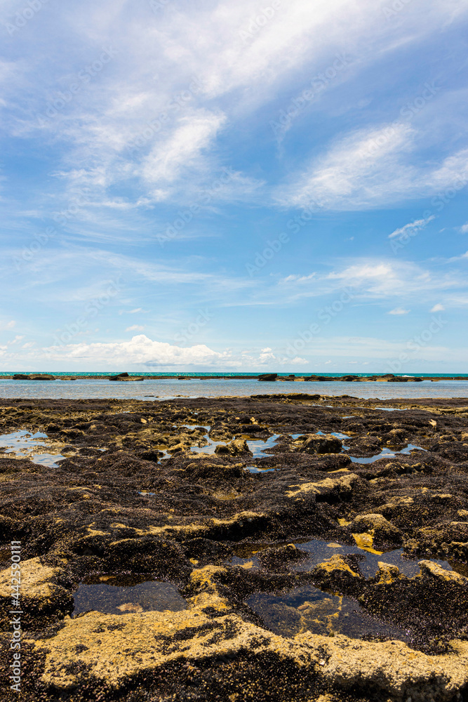 Beautiful Sunset at a reef, Barra de São Miguel, Alagoas, Brazil.