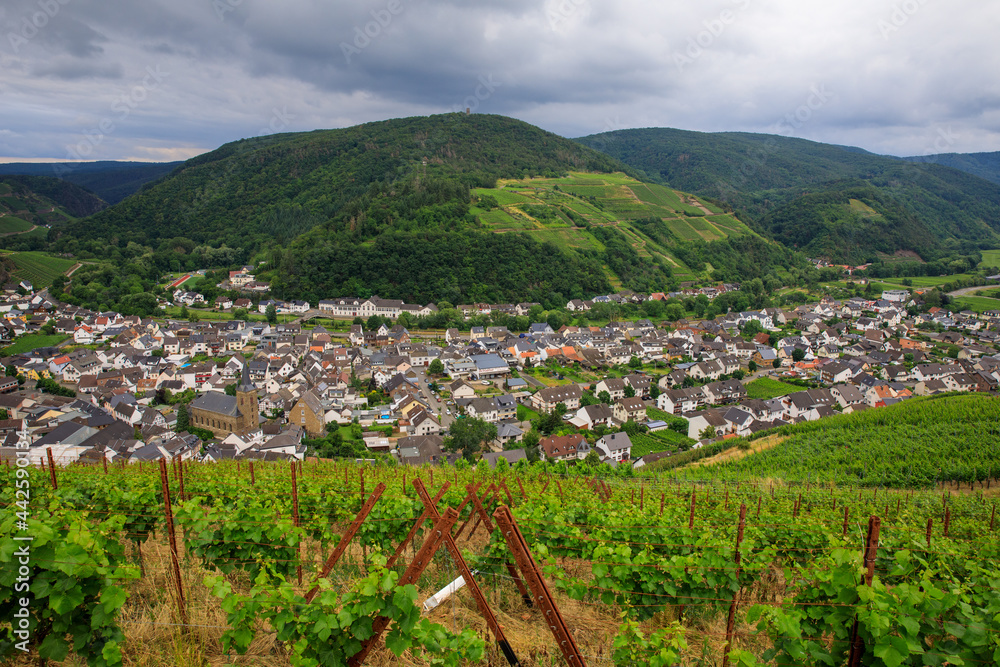 Obraz premium Rotweinstraße im Ahrtahl