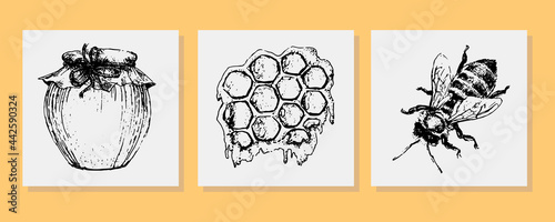 Vector honey set. Vintage hand drawn illustration. Engraved organic food