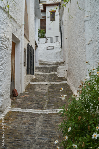 Fototapeta Naklejka Na Ścianę i Meble -  Streets of Pampaneira. Town located in the Alpujarra region, in the province of Granada