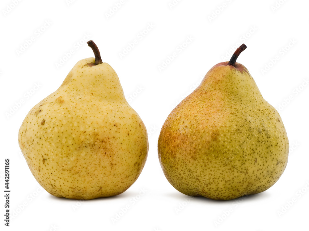 Two yellow pears with water drops isolated on white Two yellow pears with water drops isolated on white