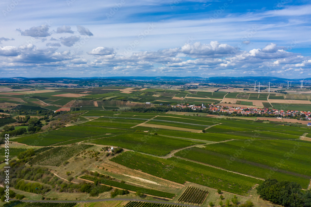 Bird's eye view of the vineyards near Flonheim / Germany with wind turbines in the background 