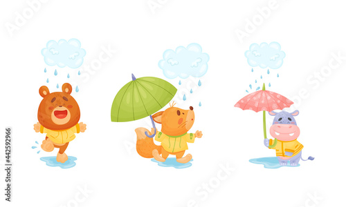 Smiling Animals Wearing Coat Walking on Puddles in Rainy Day with Umbrella Vector Set